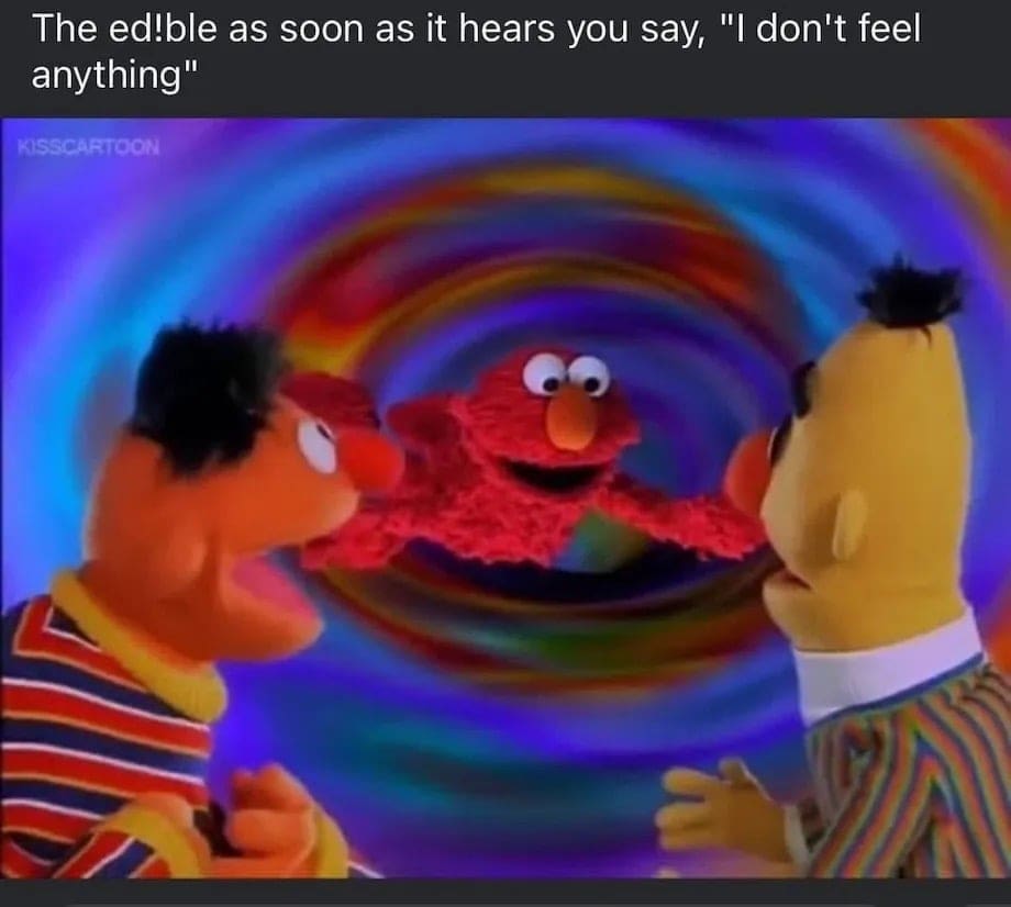 The ed!ble as soon as it hears you say, "I don't feel anything"