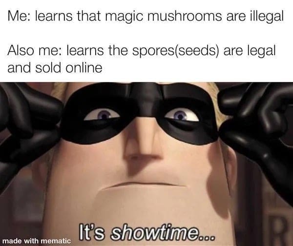 Me: learns that magic mushrooms are illegal Also me: learns the spores(seeds) are legal and sold online