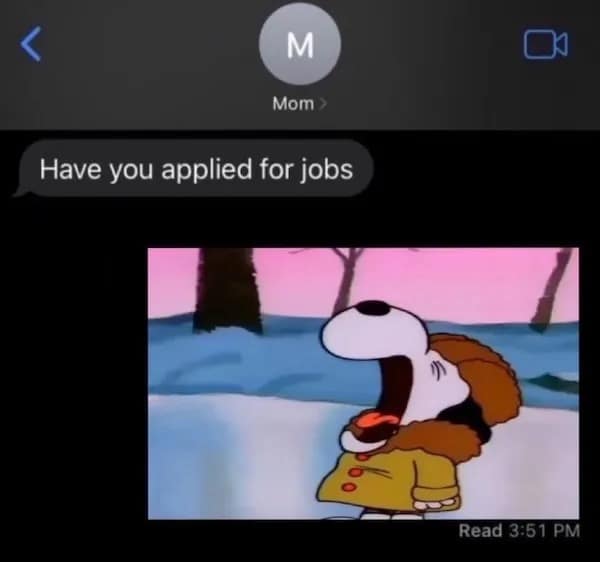 Have you applied for jobs