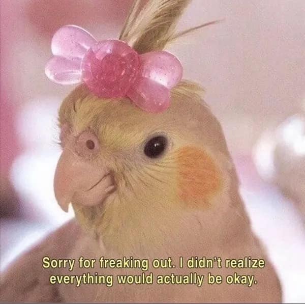 Sorry for freaking out. I didn't realize everything would actually be okay.