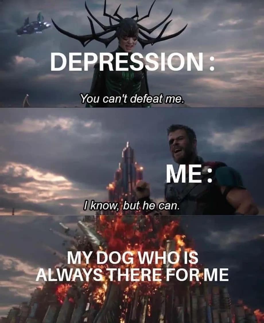 DEPRESSION: You can't defeat me. ME: I know, but he can. MY DOG WHO IS ALWAYS THERE FOR