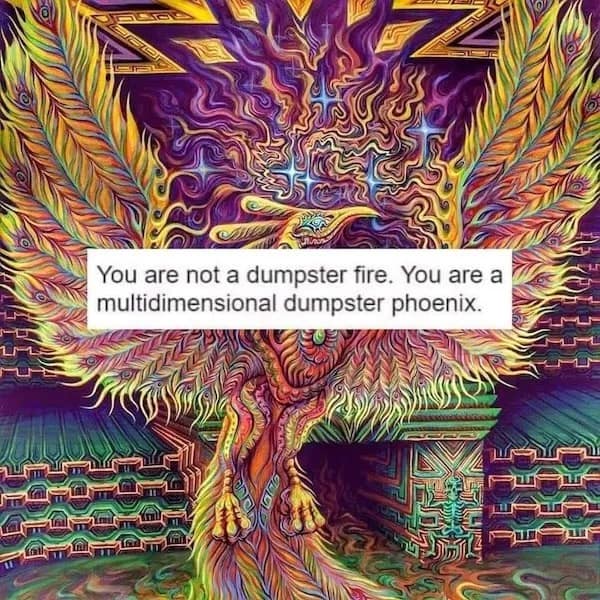 You are not a dumpster fire. You are a multidimensional dumpster phoenix.