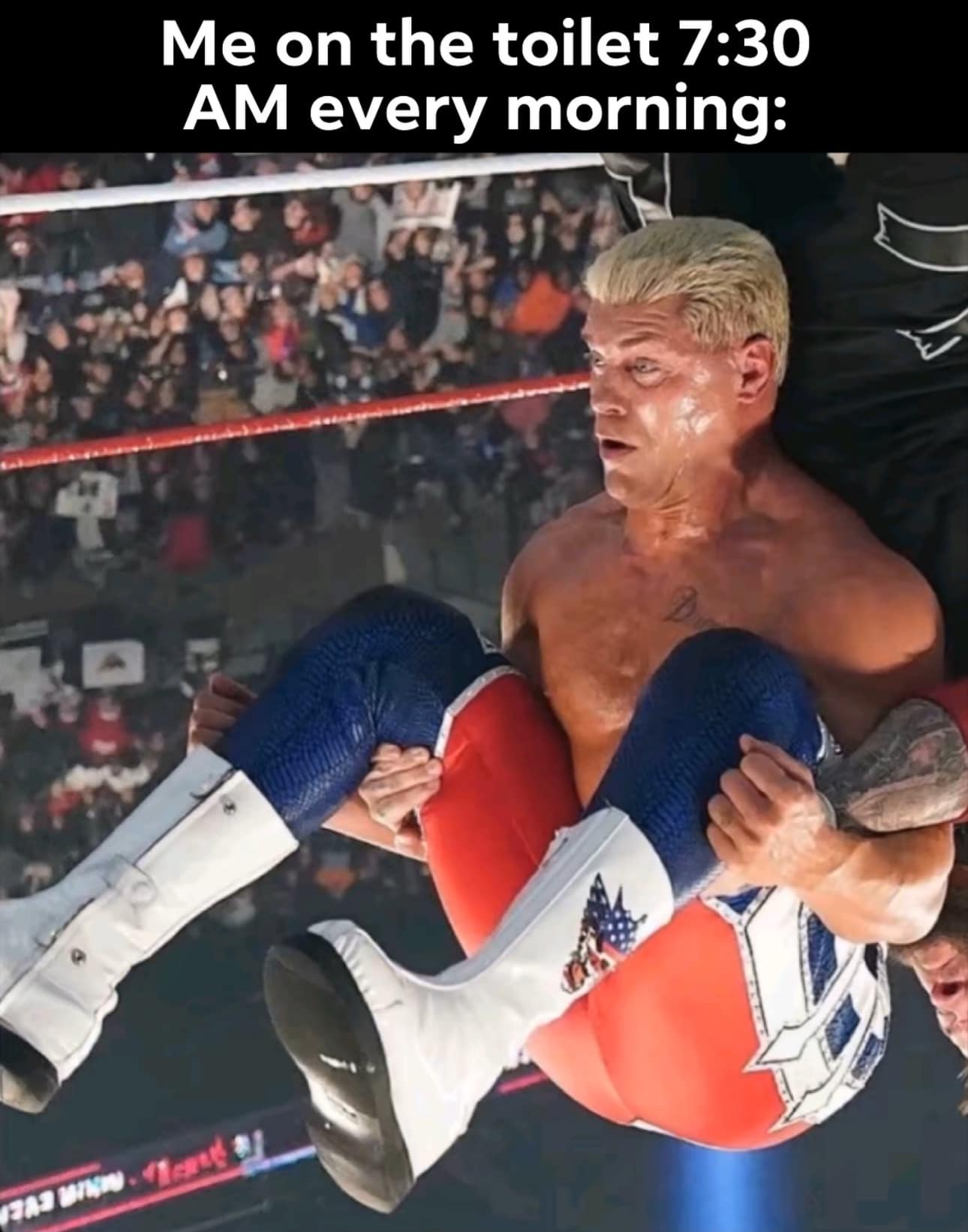 Me on the toilet 7:30 AM every morning: