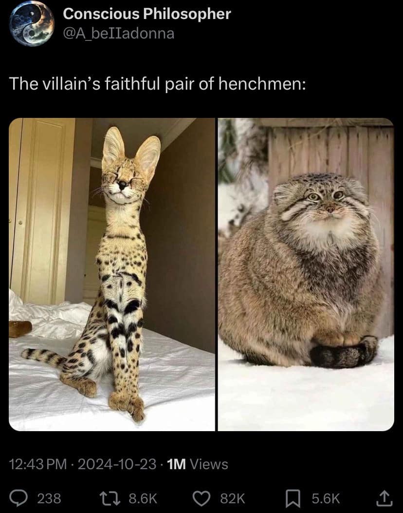 The villain's faithful pair of henchmen: