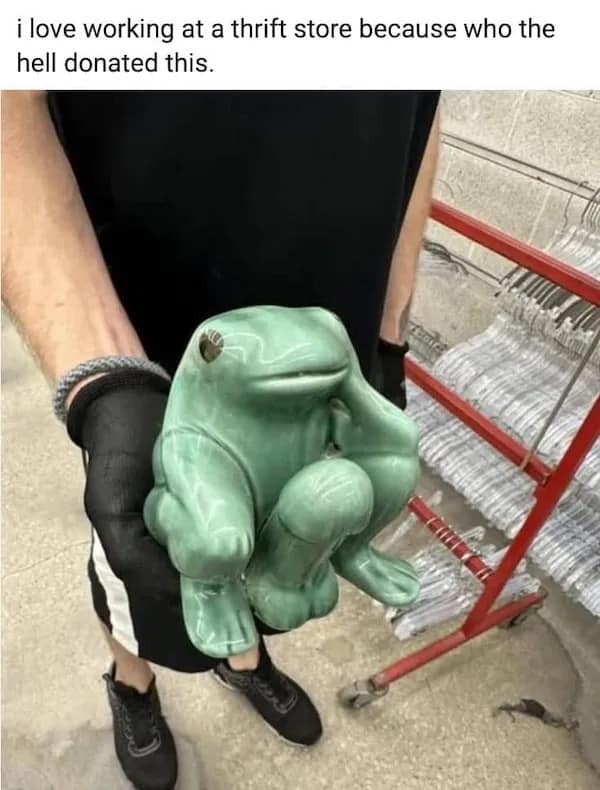 i love working at a thrift store because who the hell donated this.