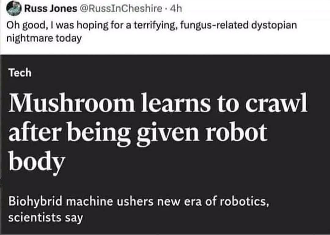 Mushroom learns to crawl after being given robot body