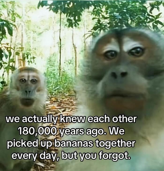 we actually knew each other 180,000 years ago. We picked up bananas together every day, but you forgot.