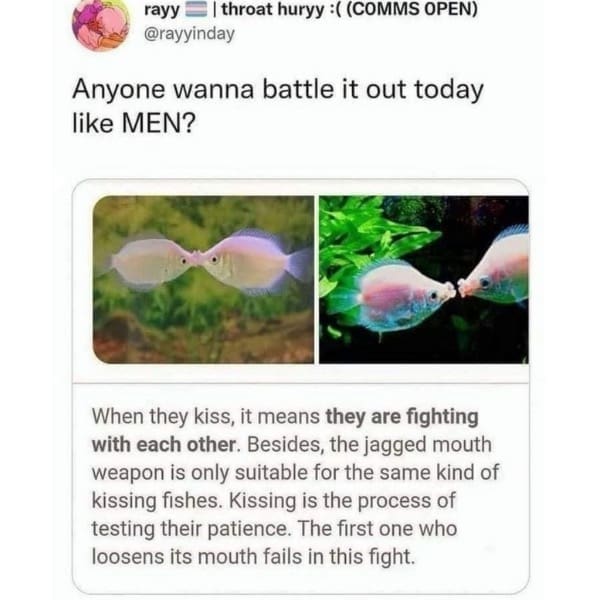 Anyone wanna battle it out today like MEN?