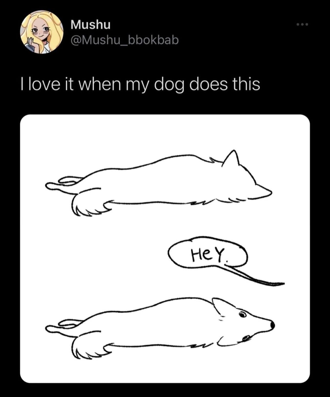 I love it when my dog does this