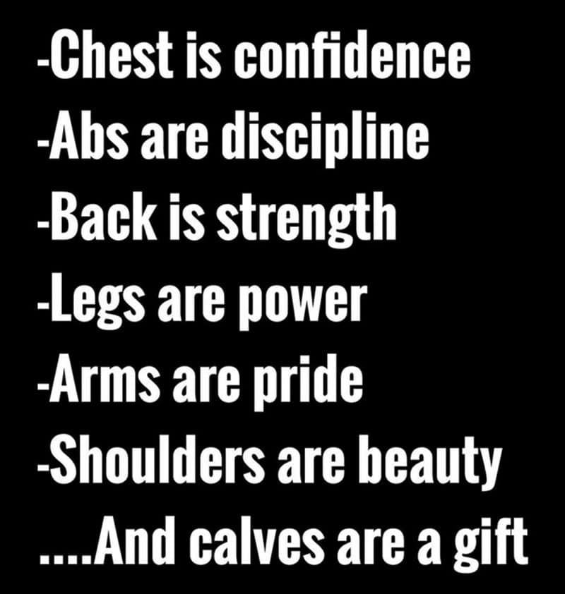 gym memes, workout memes, fitness jokes: healthy-lifestyle funnies, physique comedic jabs, nutrition humor