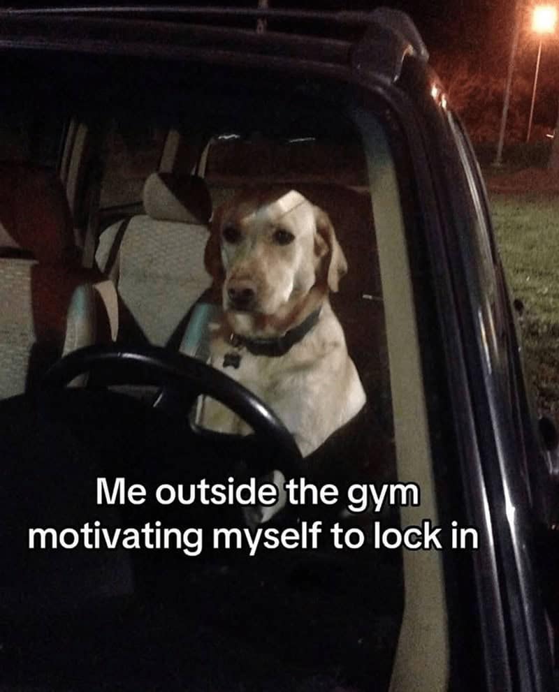 gym memes, workout memes, exercise memes, fitness memes, workout humor, exercise comedic bits, workout pictures, sweating comedic captures, training snapshot jokes, gym fail memes, lifting mishaps, gym meltdown humor, fitness jokes, elliptical laughter, strength comedic illusions