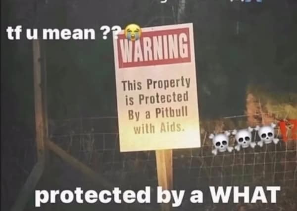 hold up memes, wait-a-minute memes, second glance images, confusing moment pics, unexpected memes, surprise reaction, startled response, shock effect, out-of-the-blue reaction surprising pictures, spontaneous comedic reveals, unforeseen visual jokes, double take humor, second glance jokes, re-check laughs, double-take comedic bits