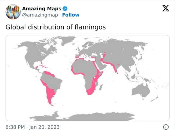 interesting maps, funny maps, comedic cartography, mapped humor, funny geography images, map humor, territory comedic bits, area-laugh synergy, border-joke expansions, geography memes, location comedic angles, regional sarcasm, global-laugh references, geography memes: location comedic angles, regional sarcasm, global-laugh referencescartography jokes, worldly comedic lines, boundary-laugh illusions, map-based humor