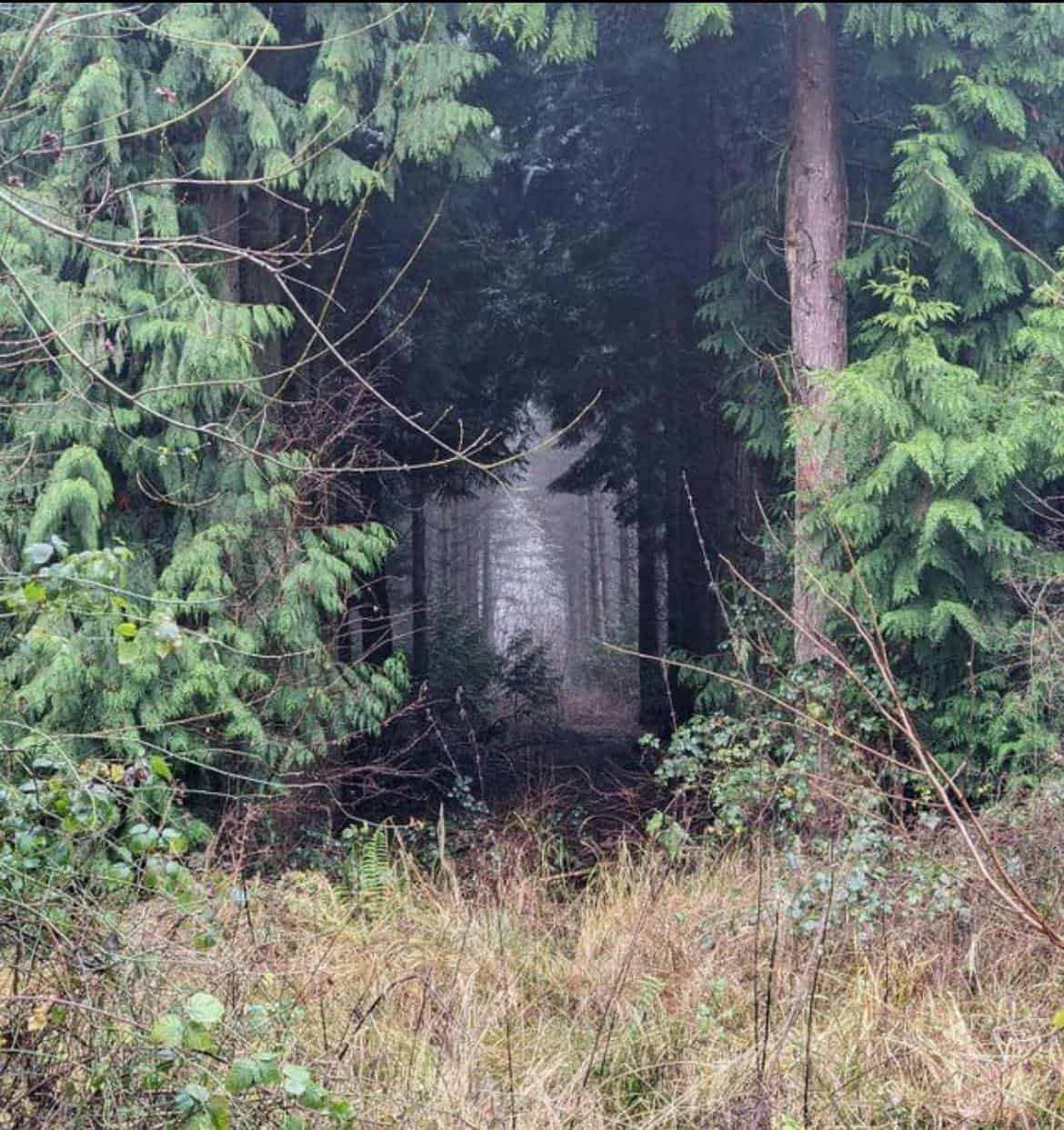 liminal spaces, liminal space, transitional places, in-between zones, threshold environments, retro dread, grainy eeriness, lo-fi fear, haunting photos