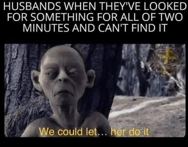 lotr memes, lord of the rings memes, ring jokes, hobbit comedic angles, fantasy comedic bits, middle-earth jokes, realm-based humor, epic saga banter, gandalf memes, wizard comedic takes, mystic leadership spoofs, tolkien humor, realm-based dryness, literary comedic references