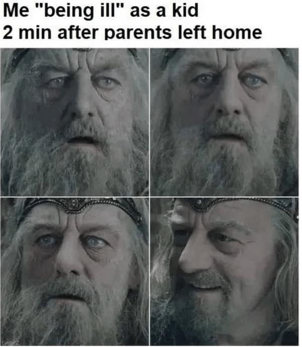 lotr memes, lord of the rings memes, ring jokes, hobbit comedic angles, fantasy comedic bits, middle-earth jokes, realm-based humor, epic saga banter, gandalf memes, wizard comedic takes, mystic leadership spoofs, tolkien humor, realm-based dryness, literary comedic references