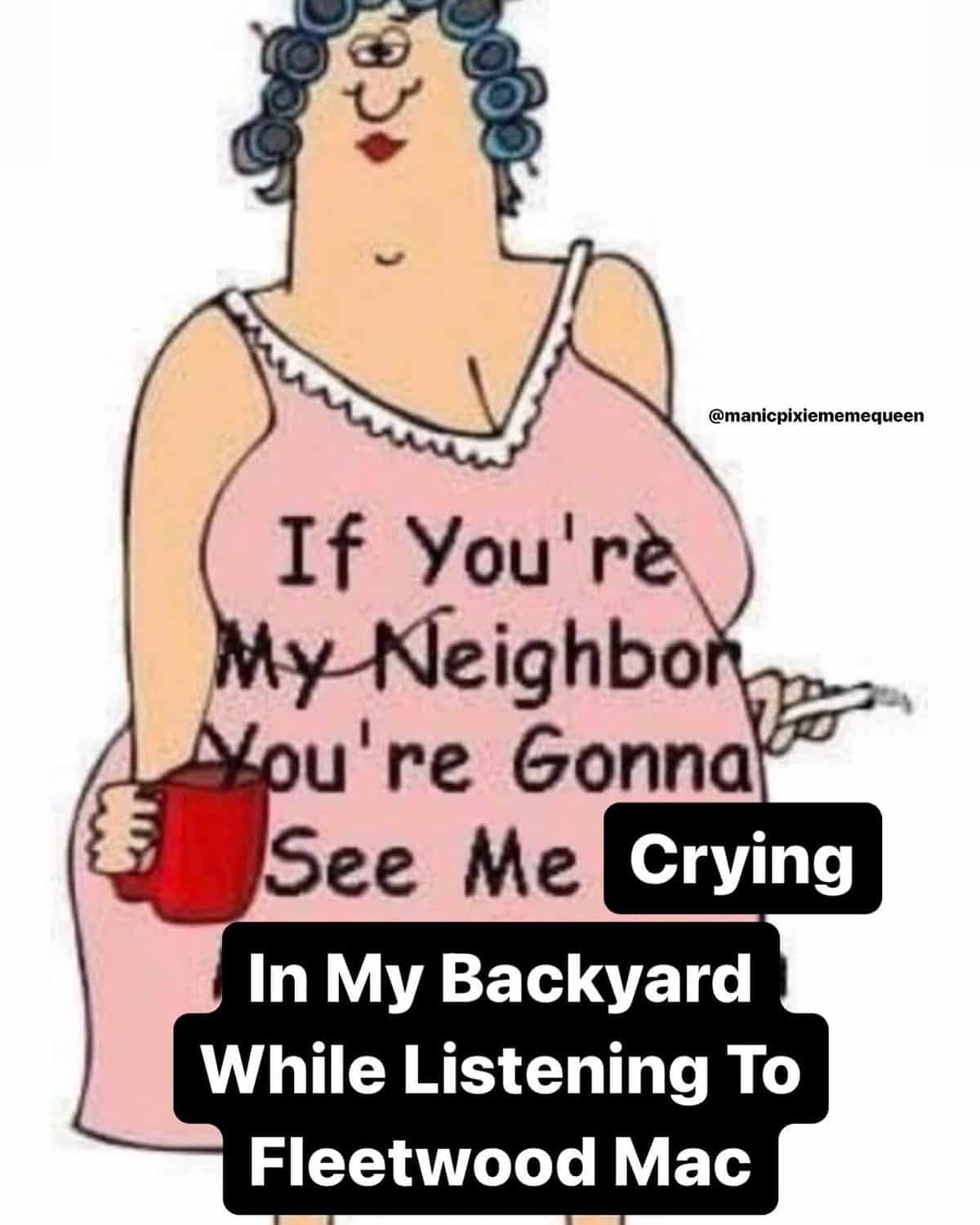 If You'rè My Neighbor, You're Gonna See Me Crying In My Backyard While Listening To Fleetwood Mac