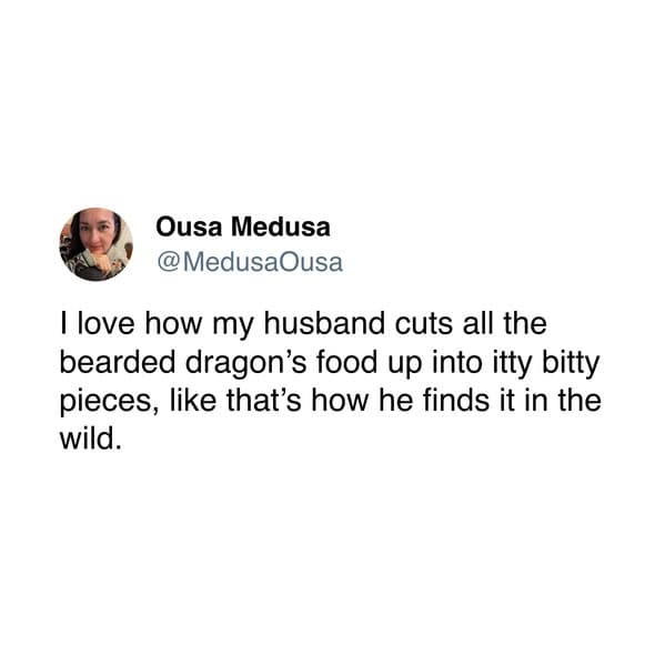 marriage meme, funny tweets about marriage,