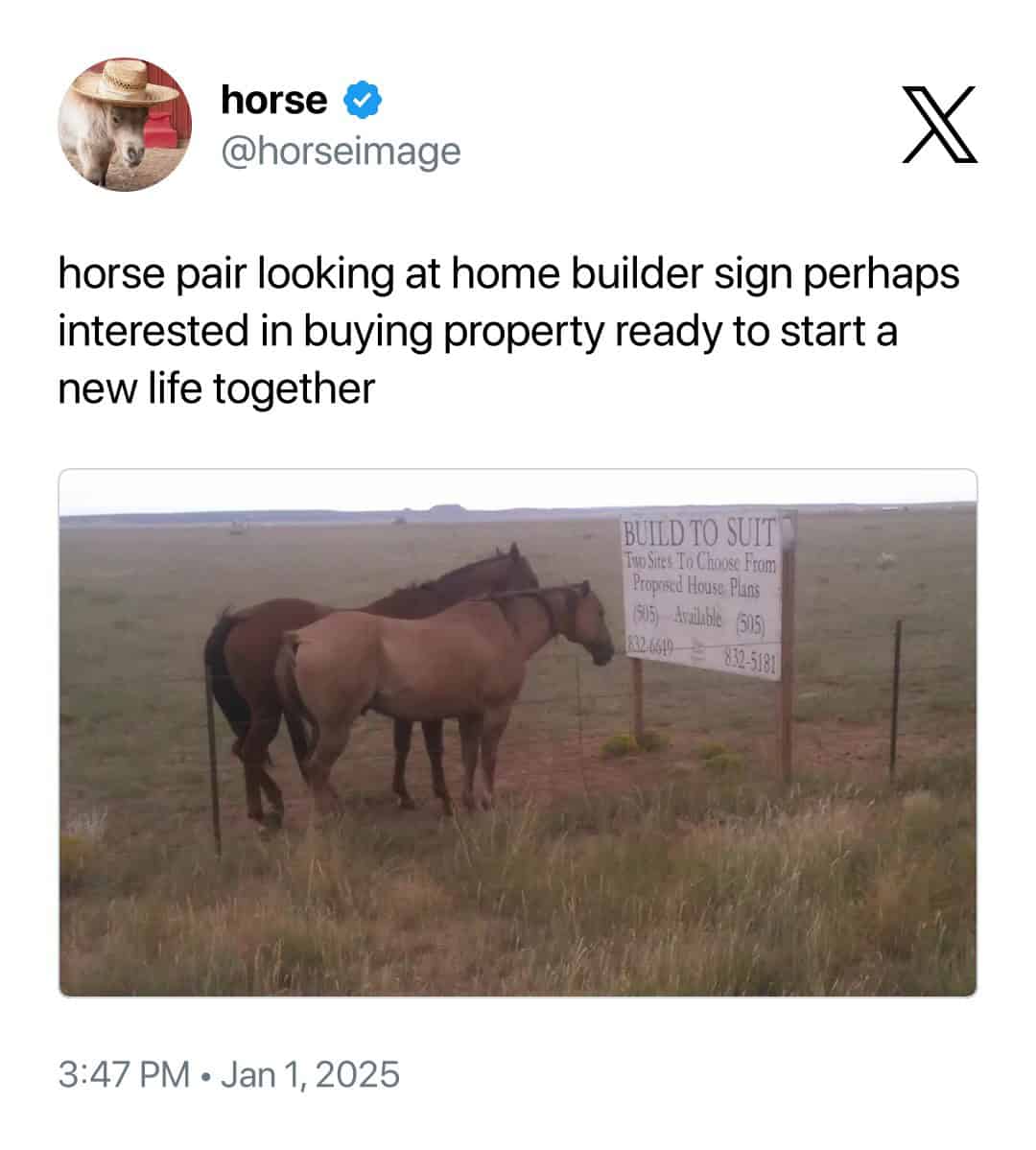 horse @horseimage horse pair looking at home builder sign perhaps interested in buying property ready to start a new life together BUILD TO SUIT Two Sites To Choose From Propracd House Plans (35) Arabble 505 832 60!0 832-5181 3:47 PM • Jan 1, 2025