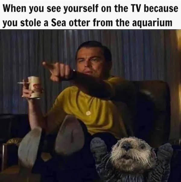 meme dump, funny memes, hilarious memes, dank meme dump, meme compilation, meme roundup, curated meme batch, comedic images, witty pictures, mild snark, uproarious jokes, borderline-laugh meltdown, comedic triumphs, top-tier humor, best comedic finds, prime laugh materials