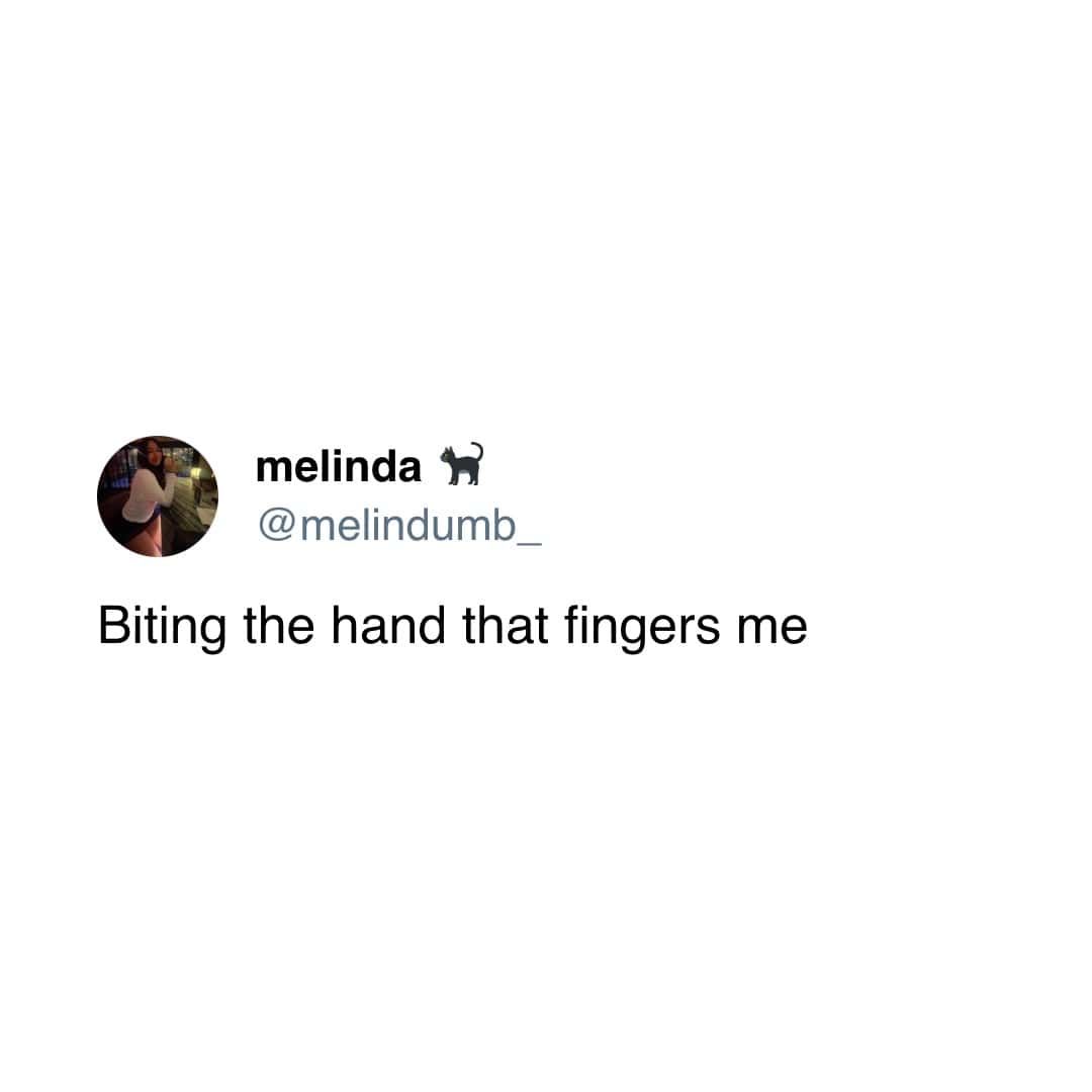 meme dump, funny memes, hilarious memes, dank meme dump, meme compilation, meme roundup, curated meme batch, comedic images, witty pictures, mild snark, uproarious jokes, borderline-laugh meltdown, comedic triumphs, top-tier humor, best comedic finds, prime laugh materials