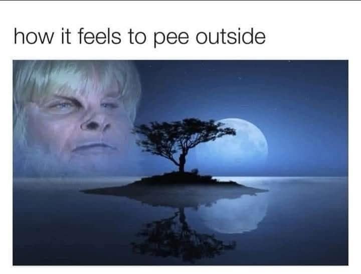 meme dump, funny memes, hilarious memes, dank meme dump, meme compilation, meme roundup, curated meme batch, comedic images, witty pictures, mild snark, uproarious jokes, borderline-laugh meltdown, comedic triumphs, top-tier humor, best comedic finds, prime laugh materials