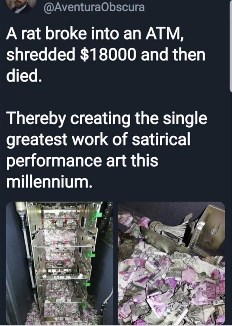 @AventuraObscura A rat broke into an ATM, shredded $18000 and then died. Thereby creating the single greatest work of satirical performance art this millennium.