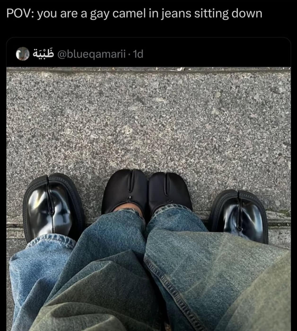POV: you are a gay camel in jeans sitting down @blueqamarii- 1 ري .
