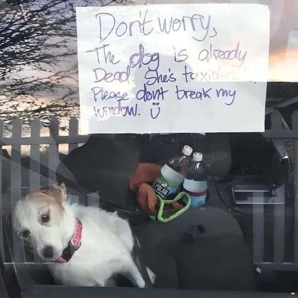 meme dump, funny memes, hilarious memes, lunch break memes, adulting memes, procrastination memes, relatable memes, random memes, meme gallery, dank memes, dank meme dump