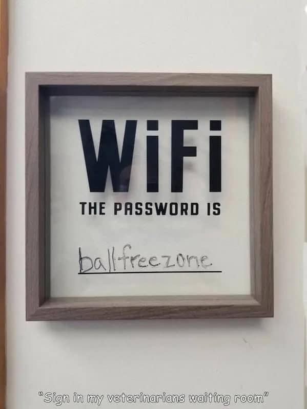 Wifi THE PASSWORD IS ball freezone. "Sign in my veterinarians waiting Foot"