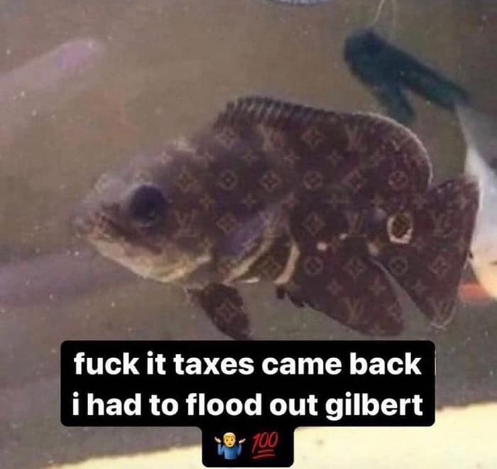 fuck it taxes came back i had to flood out gilbert 100