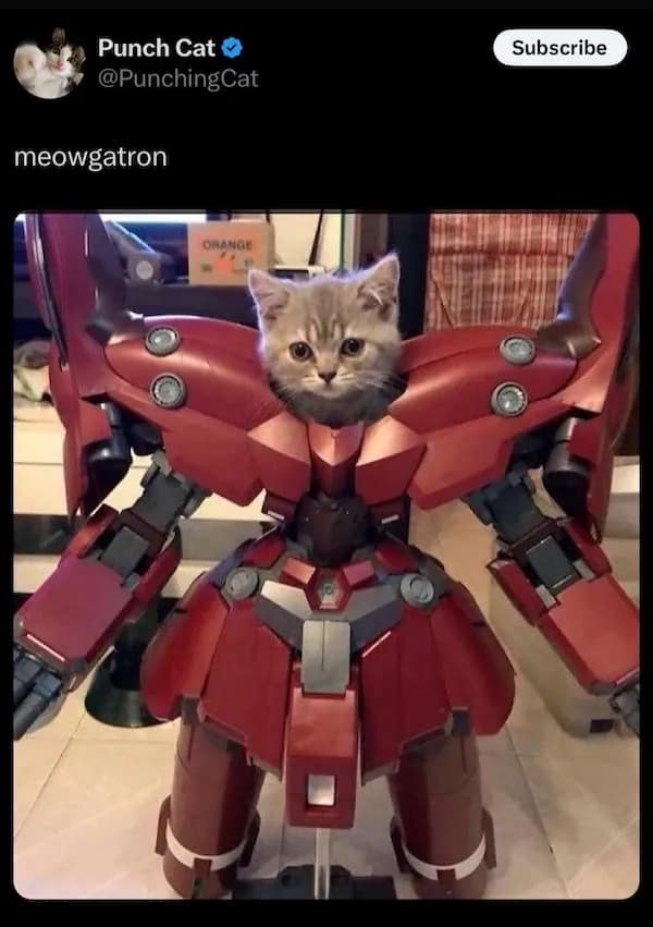 meme dump, funny memes, hilarious memes, meme collection, meme roundup, curated memes, comedic visuals, witty images, entertaining jokes, uproarious images, side-splitting comedic bits, extremely funny memes, top-tier comedic content, peak humor images, prime laugh material