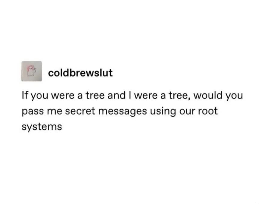 meme dump, funny memes, hilarious memes, curated comedic spree, batch of memes, net humor compilation, dank meme dump, meme gallery