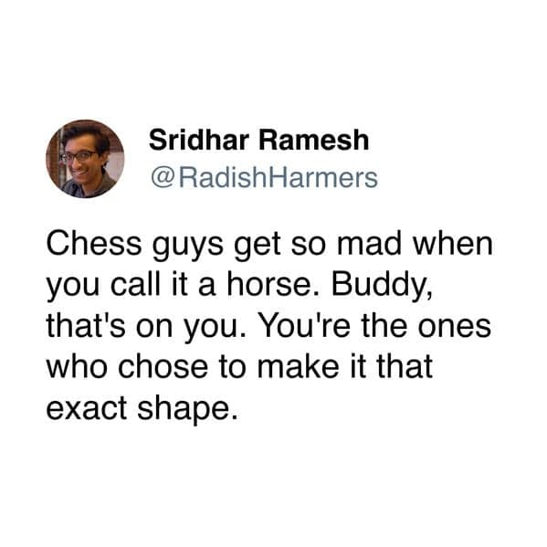 Sridhar Ramesh @RadishHarmers Chess guys get so mad when you call it a horse. Buddy, that's on you. You're the ones who chose to make it that exact shape.