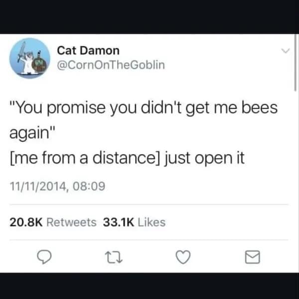 Cat Damon @CornOnTheGoblin "You promise you didn't get me bees again" [me from a distance] iust open it 11/11/2014, 08:09 20.8K Retweets 33.1K Likes 17 ~
