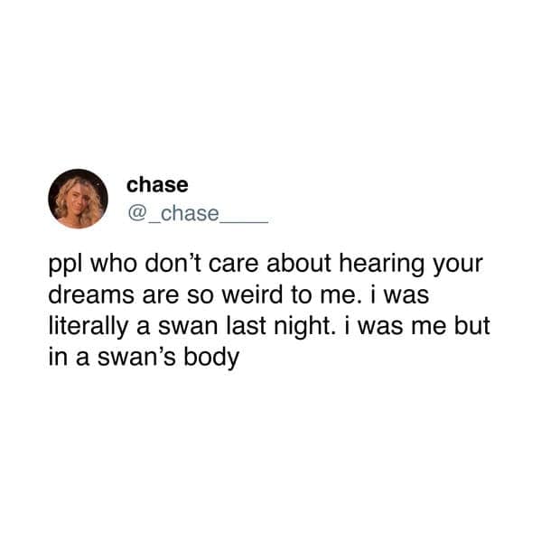 meme dump, funny memes, hilarious memes, curated comedic spree, batch of memes, net humor compilation, dank meme dump, meme gallery