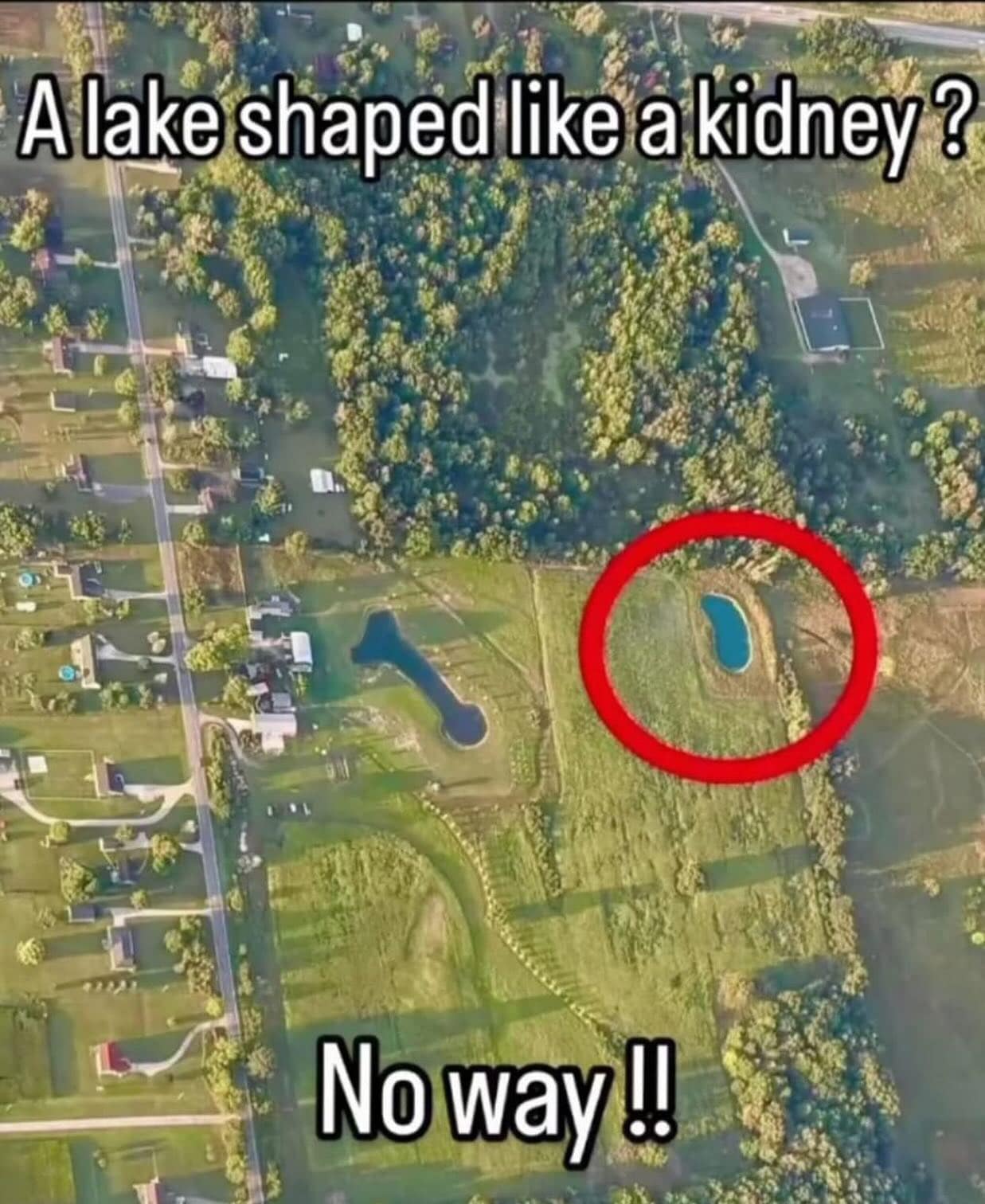 meme dump, funny memes, hilarious memes, meme compilation, meme gallery, lunch break meme