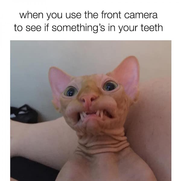 when you use the front camera to see if something's in your teeth