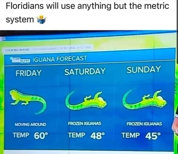 Floridians will use anything but the metric system *a IGUANA FORECAST FRIDAY SATURDAY SUNDAY MOVING AROUND TEMP 60° FROZEN IGUANAS TEMP 48° FROZEN IGUANAS TEMP 45°