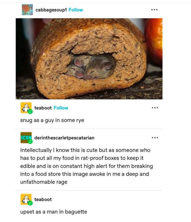 cabbagesoup1 Follow teaboot Follow snug as a guy in some rye ICON derinthescarletpescatarian Intellectually I know this is cute but as someone who has to put all my food in rat-proof boxes to keep it edible and is on constant high alert for them breaking into a food store this image awoke in me a deep and unfathomable rage teaboot upset as a man in baguette