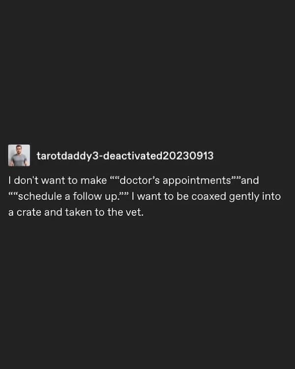 tarotdaddy3-deactivated20230913 I don't want to make ""doctor's appointments''and "schedule a follow up."' I want to be coaxed gently into a crate and taken to the vet.
