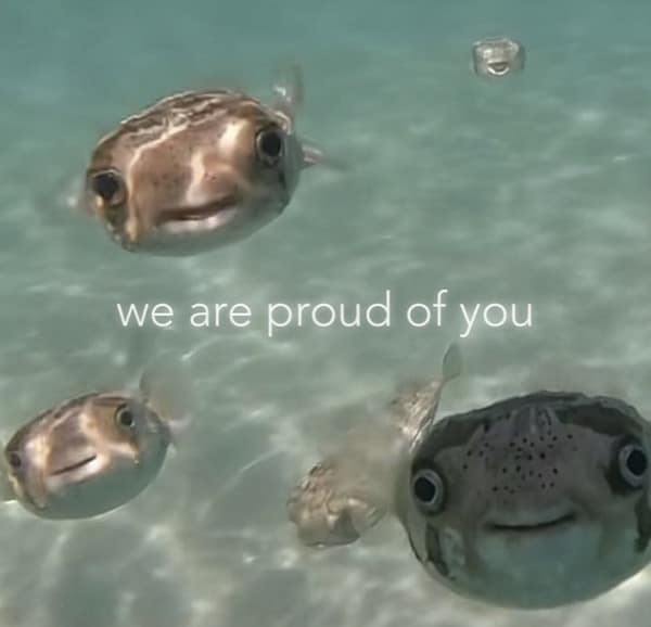 we are proud of you