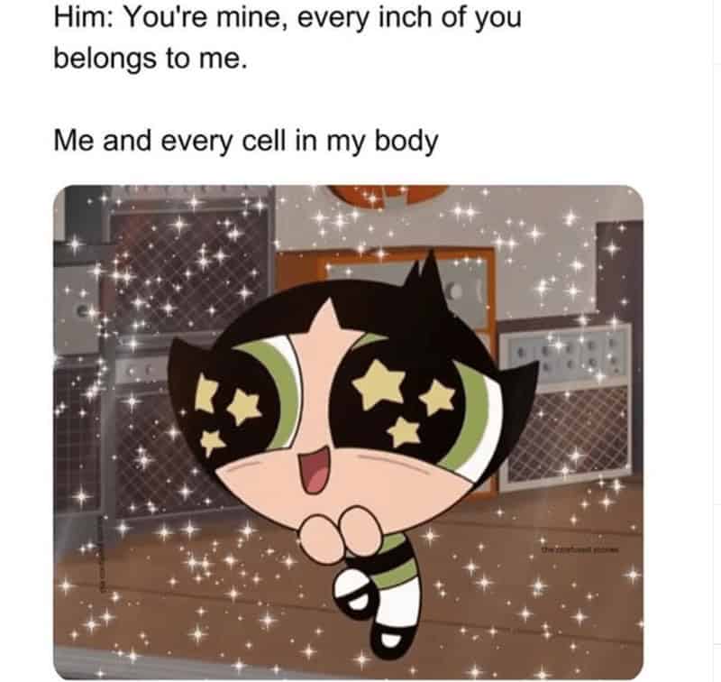 Him: You're mine, every inch of you belongs to me. Me and every cell in my body
