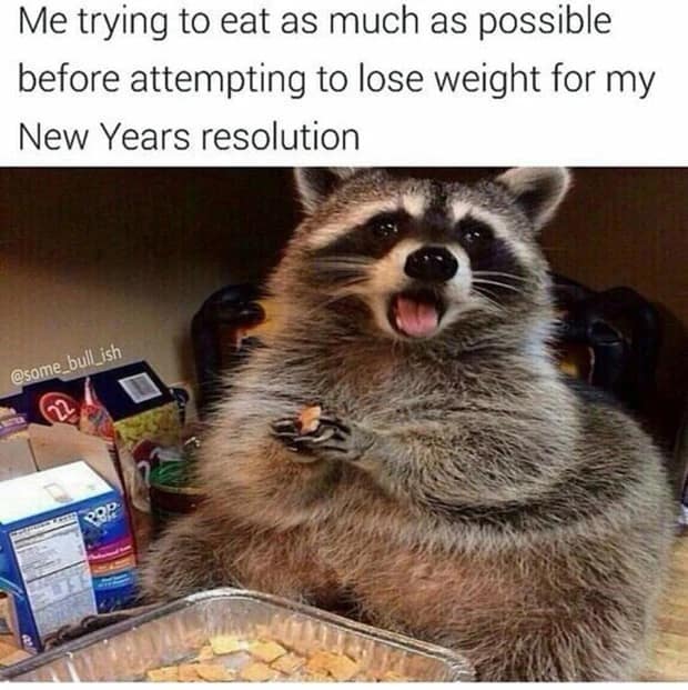 new years resolution memes, resolution memes, 2025 new years resolution memes, January memes, start-of-year jokes, resolution humor, gym memes, fitness humor, workout sarcasm, exercise jokes, seasonal jokes, post-holiday sarcasm