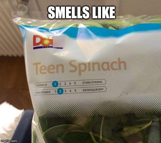 nirvana memes, nirvana humor, nirvana joke images, nirvana band memes, 90s rock memes, alternative music jokes, nineties rock humor, alt-rock comedic references, kurt cobain memes, kurt jokes, cobain images, iconic frontman humor