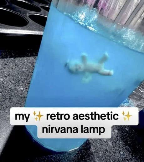nirvana memes, nirvana humor, nirvana joke images, nirvana band memes, 90s rock memes, alternative music jokes, nineties rock humor, alt-rock comedic references, kurt cobain memes, kurt jokes, cobain images, iconic frontman humor