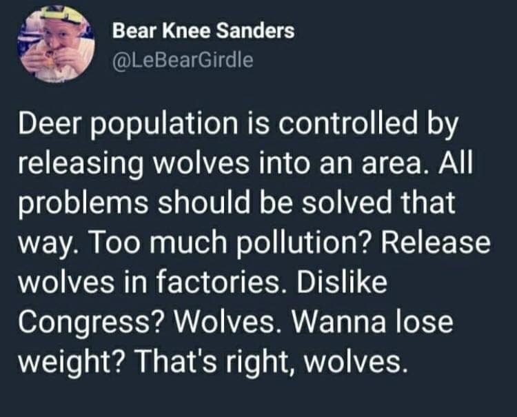 oddly specific memes, niche memes, hyper-detailed humor, strangely targeted comedic pics, precise meme content, niche humor, narrowly focused laughs, small-audience comedic lines, pinpoint comedic angles, hyper-targeted jokes, extremely specific comedic bits, minutely directed memes, precise scenario humor, weirdly relatable, bizarrely common comedic experiences, surprisingly shared quirks, universal micro-obsessions