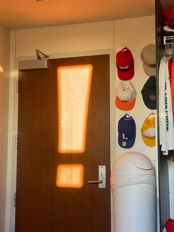 perfectly timed photos, funny pictures, awesome photography