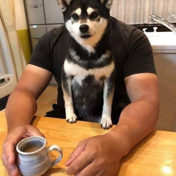 perfectly timed photos, funny pictures, awesome photography