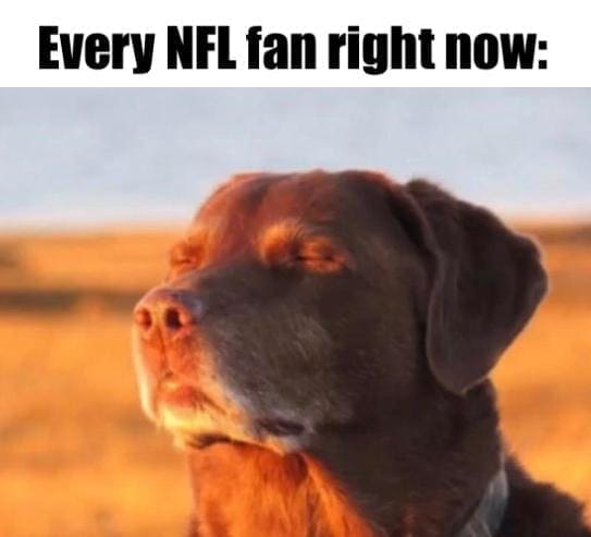 philadelphia eagles memes, eagles super bowl memes, eagles chiefs super bowl memes, Philadelphia Eagles Super Bowl, Eagles championship game, Eagles road to Super Bowl, Eagles playoff run, NFL memes, football memes, sports humor, Super Bowl jokes, Eagles vs Chiefs, Eagles Chiefs rematch, Super Bowl 2025 matchup, NFL championship game